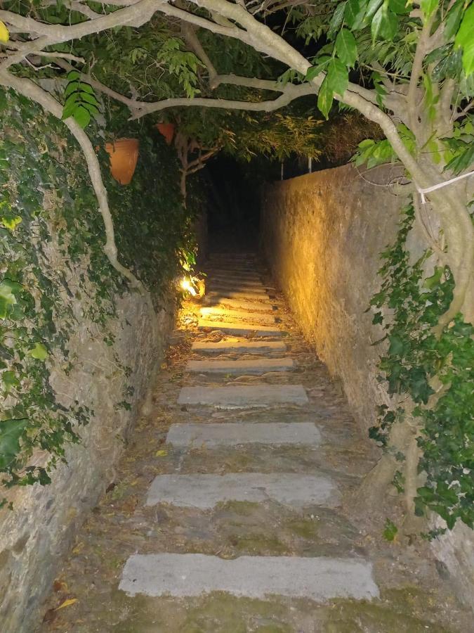 Casa Vila Palmeira Ξενοδοχείο Fermela Εξωτερικό φωτογραφία